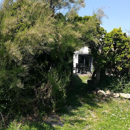 4. Ty Gevred A 500M De L'Ocean Villa Saint-Jean-Trolimon Kültér fotó